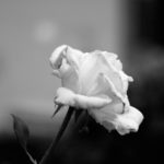 Menopausia depresión en mujeres